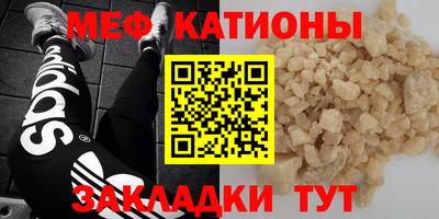 стаф Дубна