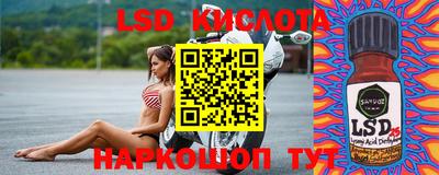стаф Дубна