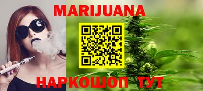 стаф Дубна