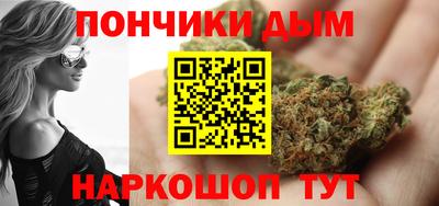 стаф Дубна