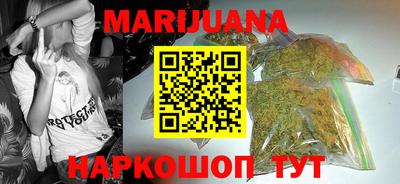 стаф Дубна