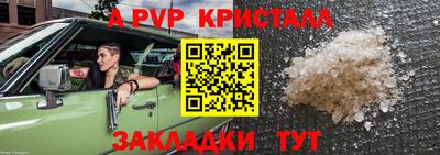 стаф Дубна