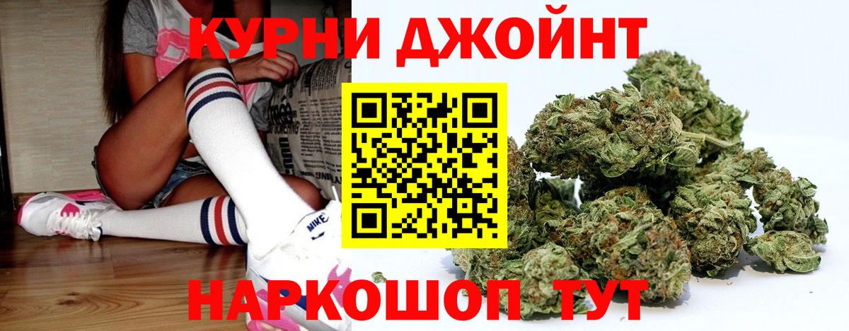 МАРИХУАНА сатива Малгобек